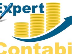 Expert contabil Bucuresti / Ilfov